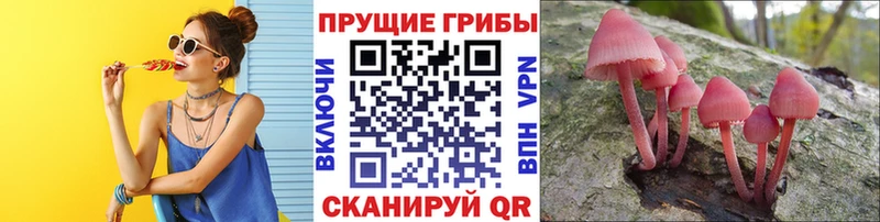 ссылка на мегу ТОР  купить наркоту  Новомосковск  Галлюциногенные грибы Magic Shrooms 